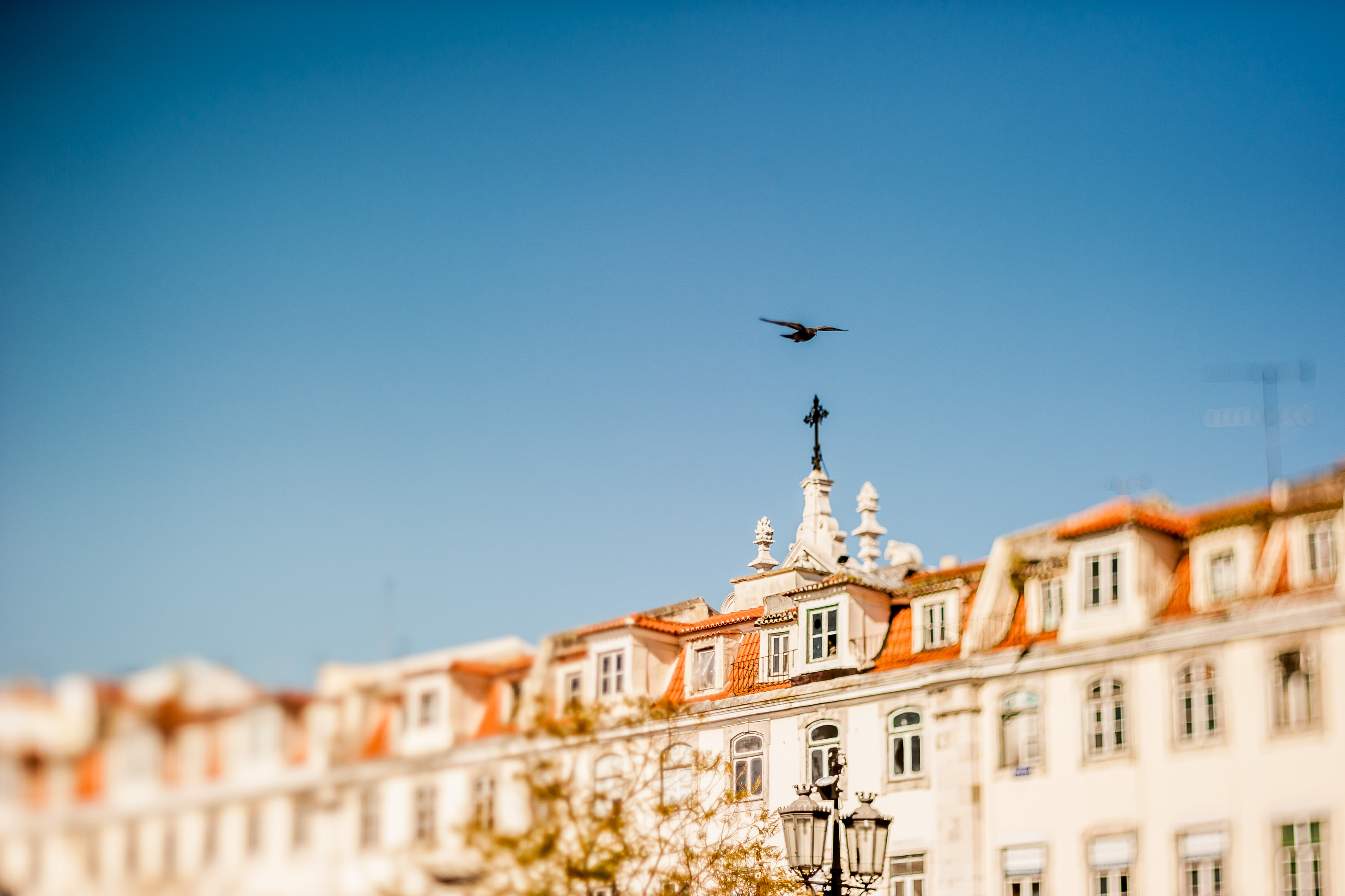 lightflow-portugal 14_.jpg