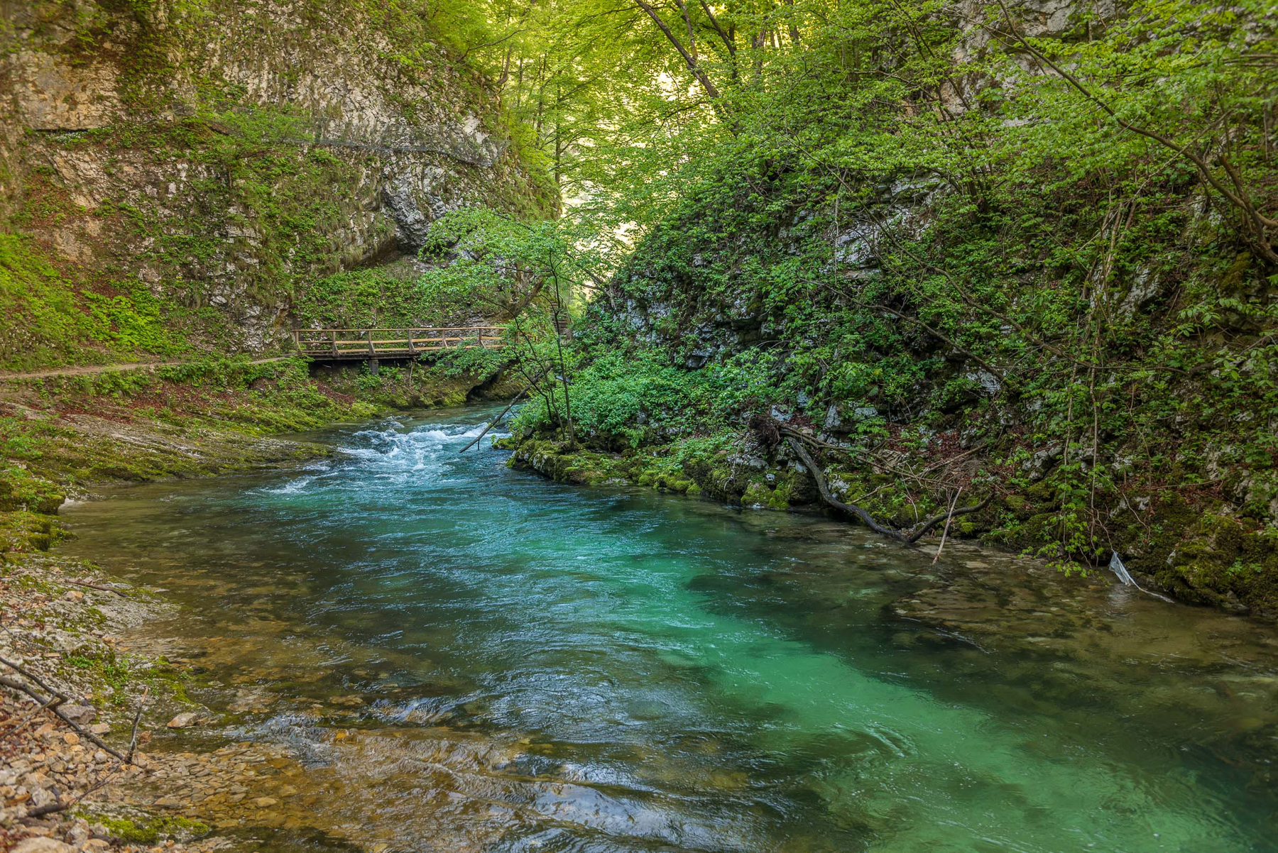 slowenien (27 von 77).jpg