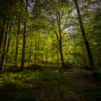 slowenien (53 von 77).jpg