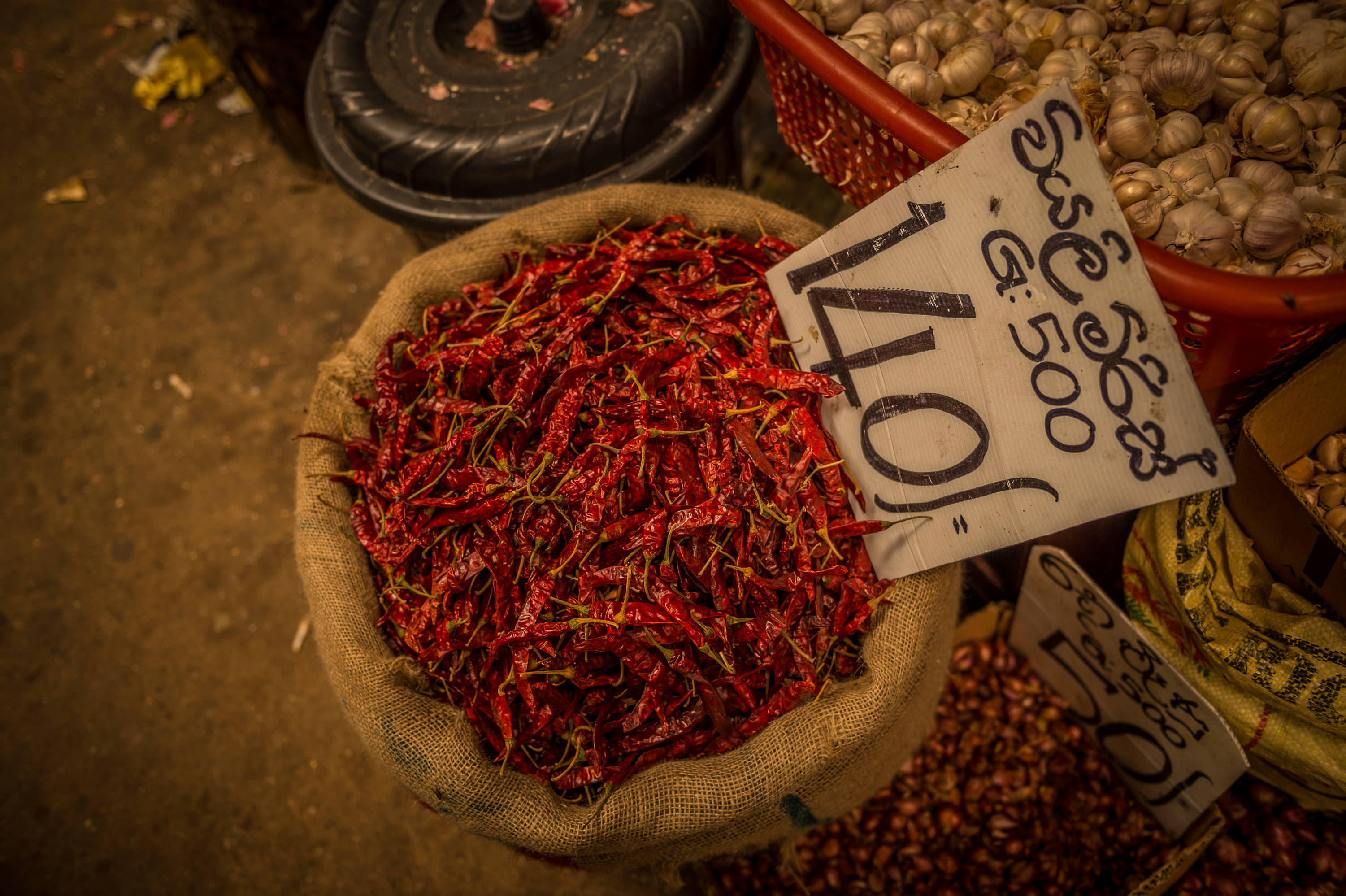 lightflow-srilanka 123_.jpg