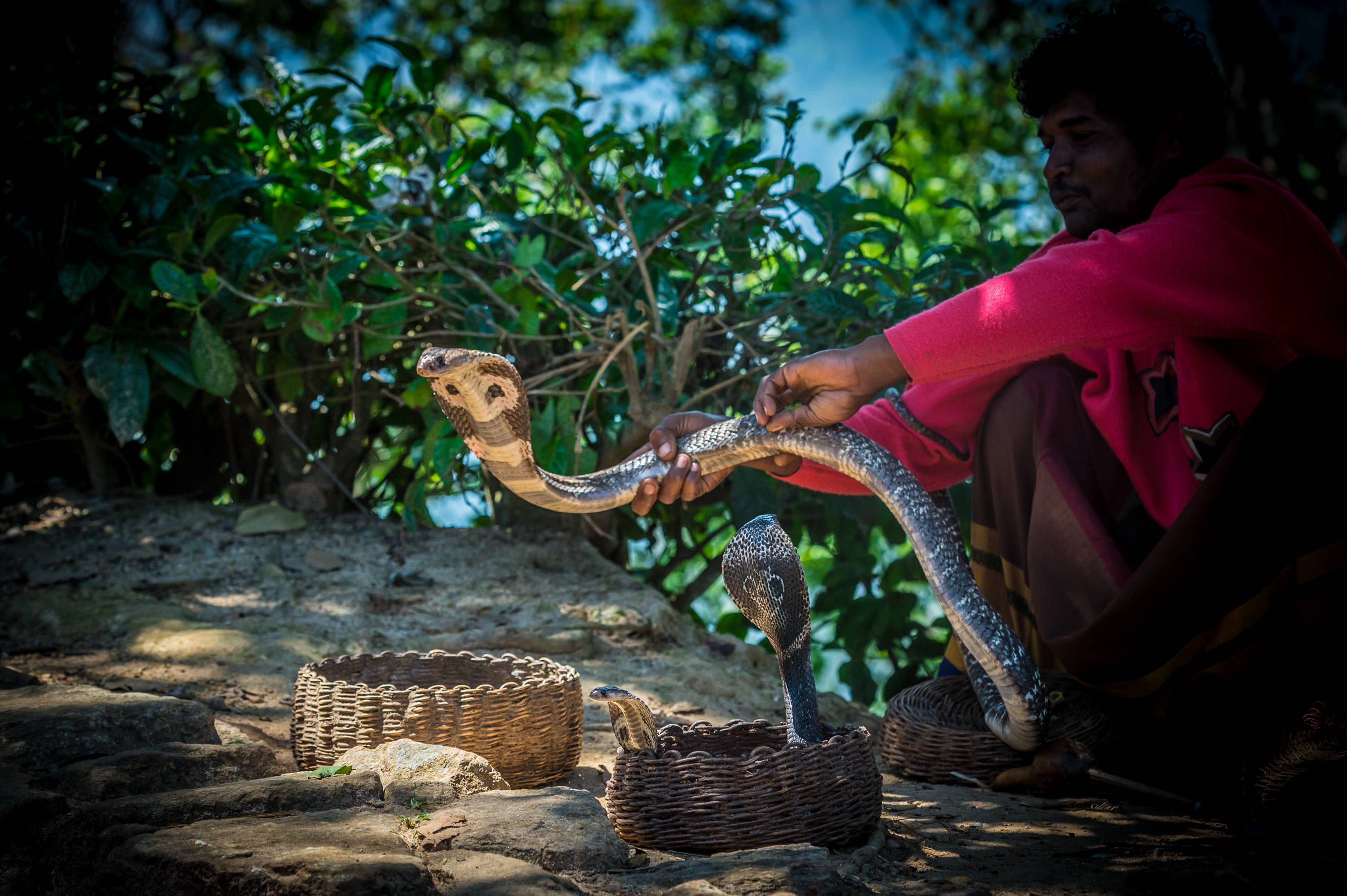 lightflow-srilanka 149_.jpg