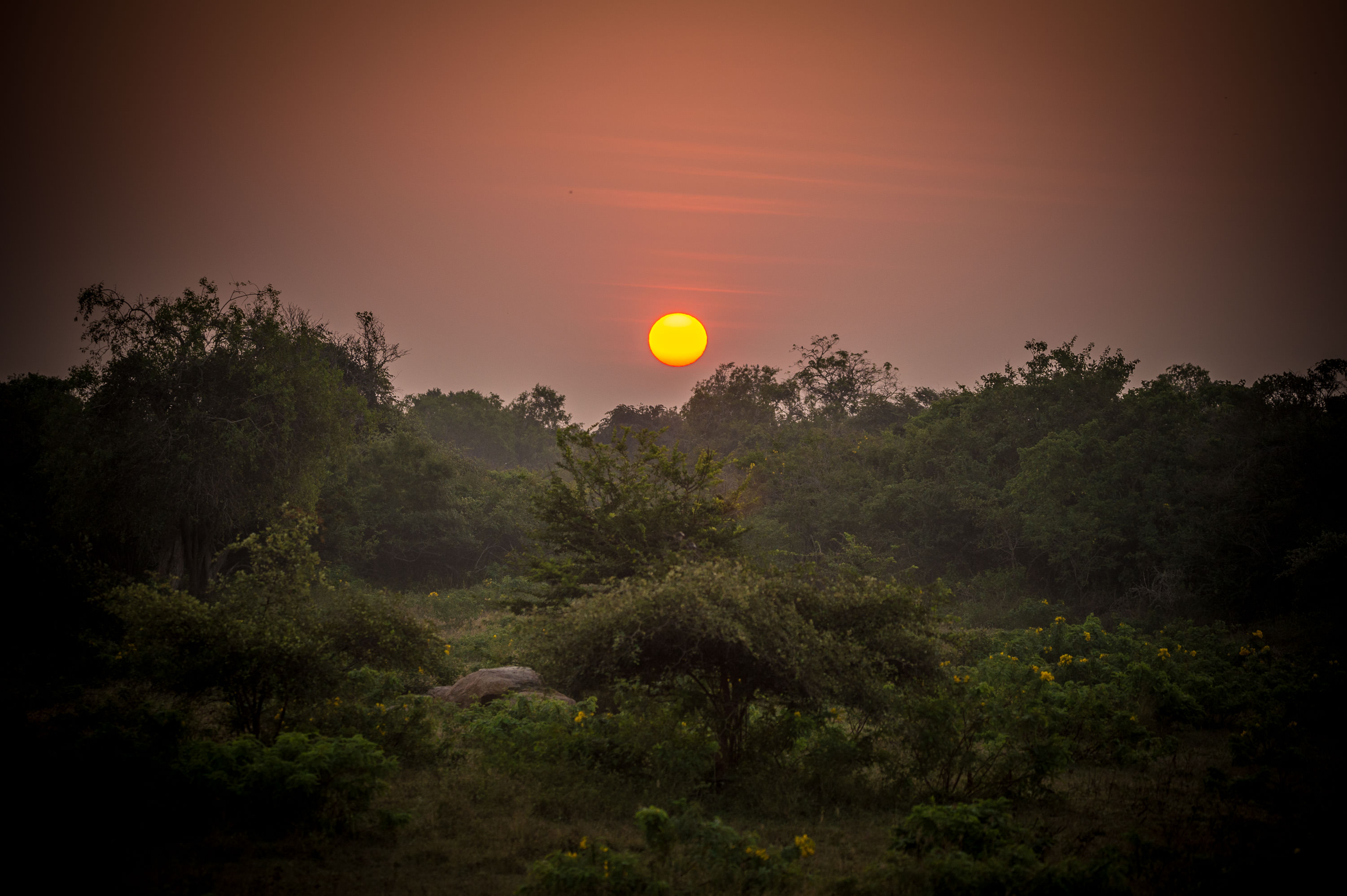 lightflow-srilanka 157_.jpg